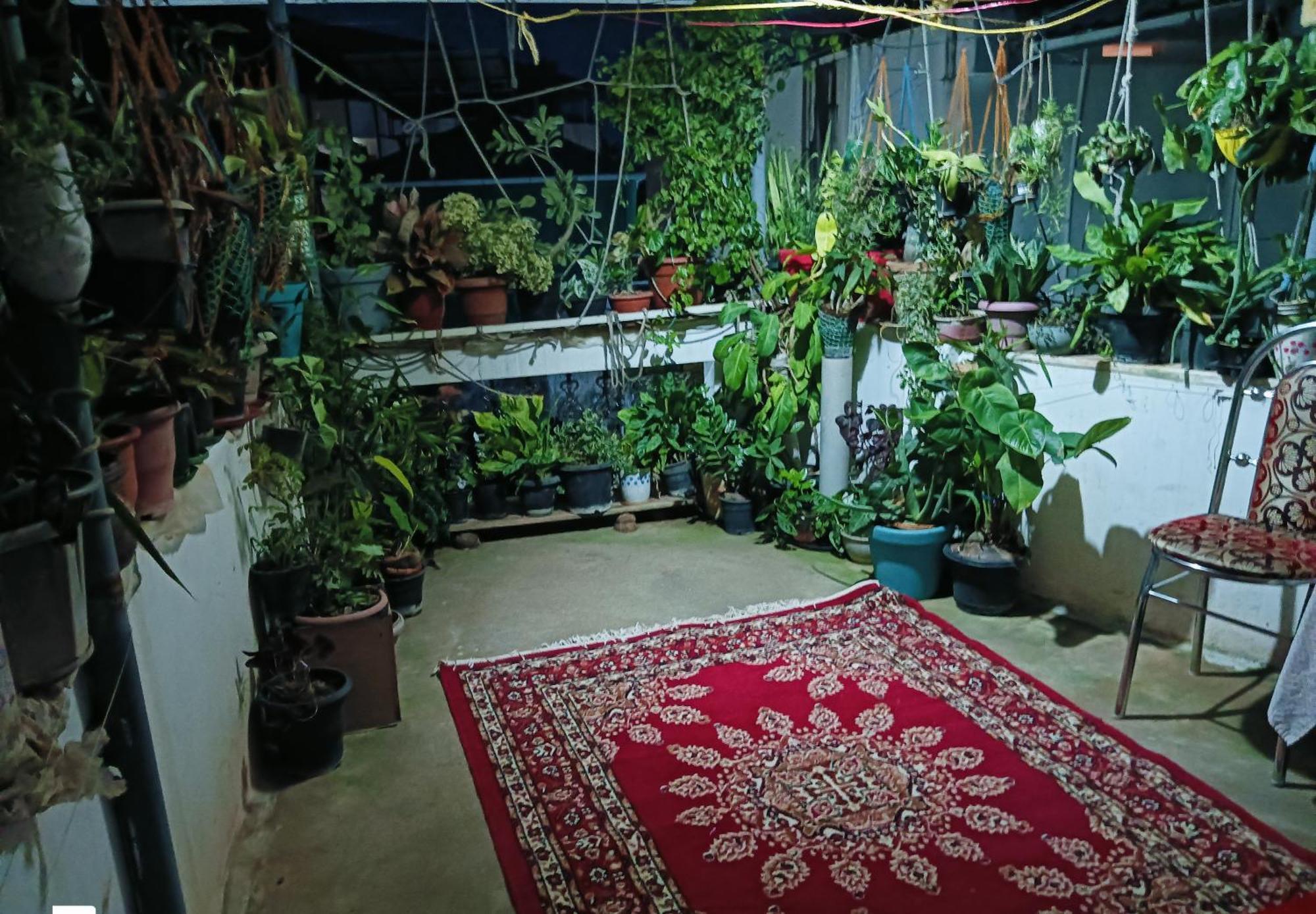 Dion Homestay Kochi Екстер'єр фото